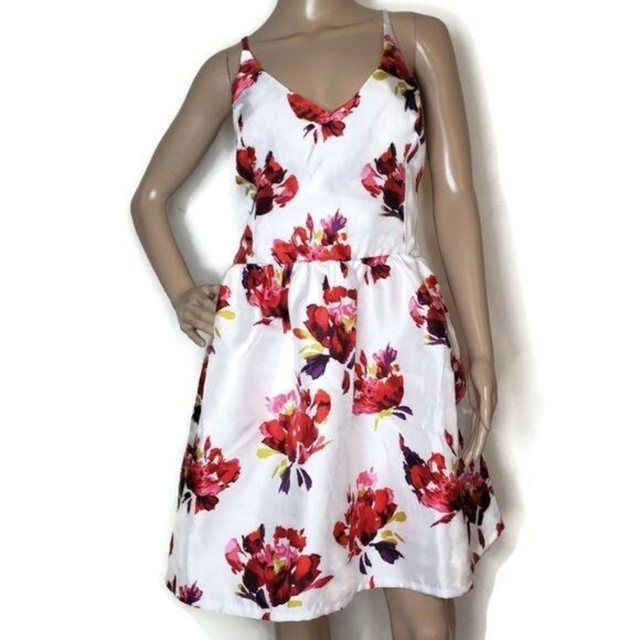Bailey Blue white and red large print Print Sleeveless A-Line sun dress sz 14 - Picture 5 of 6